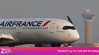 Airbus y Air France han sido declaradas culpables de homicidio involuntario en la tragedia que causó la muerte de 228 personas.