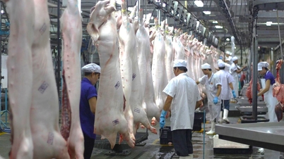 Ho Chi Minh-stad verscherpt het beheer van dierquarantaine en slachtingen.