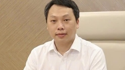 Encik Nguyen Huy Dung telah dilantik sebagai Timbalan Menteri Kebudayaan, Sukan dan Pelancongan.