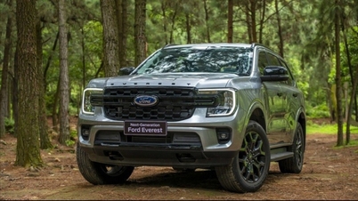 5 найпопулярніших позашляховиків D-сегмента у квітні 2026 року: Ford Everest продовжує лідирувати.