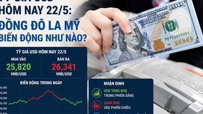 Cursul de schimb USD astăzi, 22 mai: Cum fluctuează dolarul american?