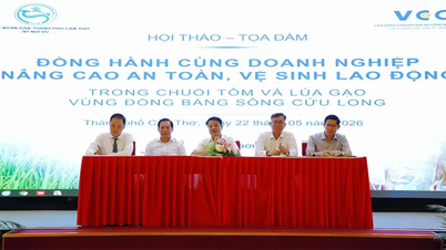 ຮ່ວມມືກັບທຸລະກິດຕ່າງໆເພື່ອປັບປຸງຄວາມປອດໄພ ແລະ ສຸຂະອະນາໄມໃນອາຊີບໃນລະບົບຕ່ອງໂສ້ມູນຄ່າກຸ້ງ ແລະ ເຂົ້າຂອງແມ່ນ້ຳຂອງ.