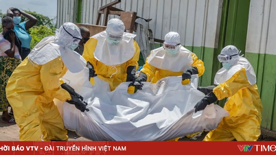 Τι προκάλεσε την εξάπλωση της επιδημίας Έμπολα στο Κονγκό;