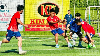 Aan het voetbaltoernooi voor arbeiders van de provincie Dong Thap namen 30 teams deel.