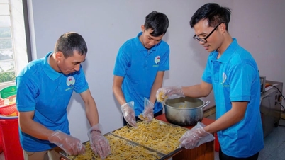 "Her şeyi yap, karşılığını al": Phu Tho'daki bir kooperatif, pomelo ağacından elde ettiği ürünleri büyük süpermarketlere satıyor ve bir zamanlar atılan kısımdan hoş kokulu uçucu yağ çıkarıyor.