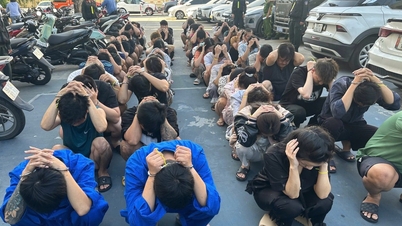 ເລີ່ມຕົ້ນຈາກການເຊື່ອມຕໍ່ນ້ອຍໆ, ຕຳຫຼວດນະຄອນໂຮ່ຈິມິນໄດ້ທຳລາຍກຸ່ມຄ້າຢາເສບຕິດ, ຈັບກຸມຜູ້ຖືກຫາໄດ້ 140 ຄົນ.