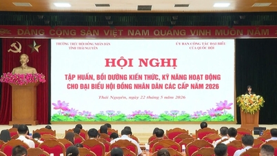 Školení a rozvoj znalostí a dovedností zástupců Lidových rad na všech úrovních v provincii Thai Nguyen.