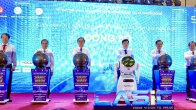 Can Tho aims to become the innovation hub of the Mekong Delta region.