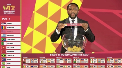 La selección sub-17 de Vietnam se enfrentará a Bélgica, Mali y Nueva Zelanda en la Copa Mundial Sub-17 de la FIFA 2026.