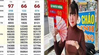 Loteria do Sul do Vietnã: Três ganhadores do prêmio principal surpreendem a todos ao serem eleitos na cidade de Ho Chi Minh.