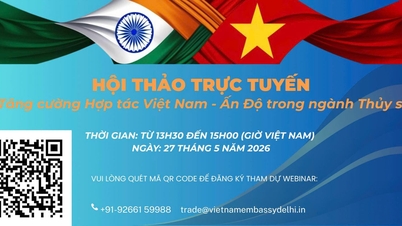 Sizi "Balıkçılık Sektöründe Vietnam-Hindistan İşbirliğinin Güçlendirilmesi" başlıklı çevrimiçi seminere katılmaya davet ediyoruz.