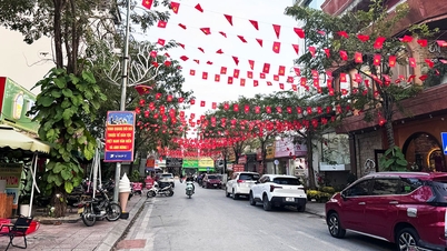 Bac Ninh eyaleti, köylerin ve yerleşim alanlarının yeniden düzenlenmesine yönelik planların acilen geliştirilmesini talep etmektedir.