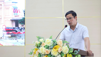 Hai Phong: Schulung zur Standardisierung, Erstellung und zum Hochladen von Daten in ein gemeinsames Data Warehouse.