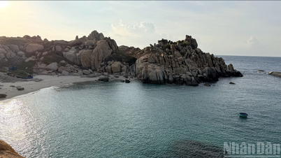 Hon Cau Island: A destination for nature-based tourism experiences.