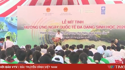 Hai Phong menyelenggarakan banyak kegiatan praktis sebagai respons terhadap Hari Keanekaragaman Hayati Internasional.