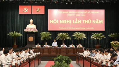 Jawatankuasa Parti Bandar Raya Ho Chi Minh akan mempunyai dua lagi Jawatankuasa Parti bawahan dalam bidang penjagaan kesihatan dan pendidikan.