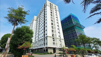Đã đến lúc coi nhà ở xã hội cho thuê là hạ tầng an sinh