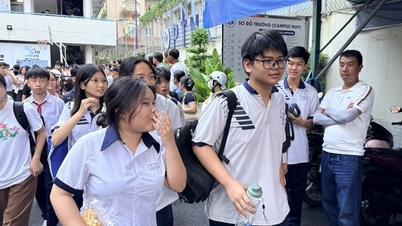 มีผู้สมัครสอบเข้าเรียนชั้นมัธยมศึกษาปีที่ 4 (เกรด 10) ที่โรงเรียนมัธยมสำหรับผู้มีพรสวรรค์แห่งนครโฮจิมินห์ จำนวน 4,709 คน