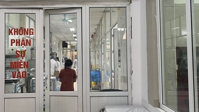 4 điểm bất thường của dịch Ebola