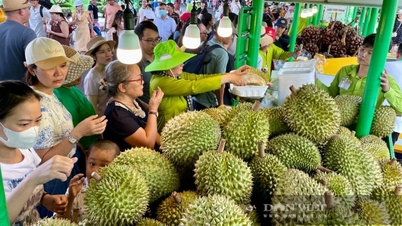 Den största fruktfestivalen i södra Vietnam är på väg att äga rum, och den sjuder av aktivitet från dag till natt.