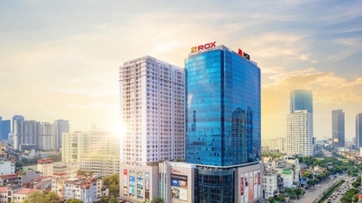 30 років партнерства ROX Group з розвитком країни.