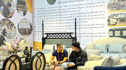 "Mencantikkan" ruang tamu: Trend membawa alam semula jadi ke dalam rumah.