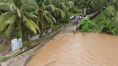 Kota Ho Chi Minh memiliki 43 lokasi berbahaya yang rawan erosi tepi sungai, kanal, dan aliran air.
