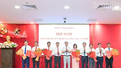 Dna Thai Thi Le Hang a fost numită directoare a Departamentului de Cultură, Sport și Turism al provinciei Khanh Hoa.