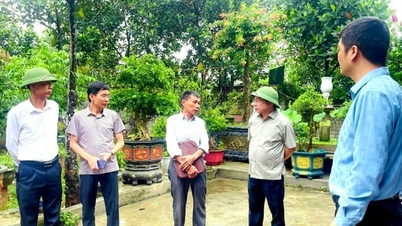 Ha Bang is taking decisive action to improve land management and construction order.