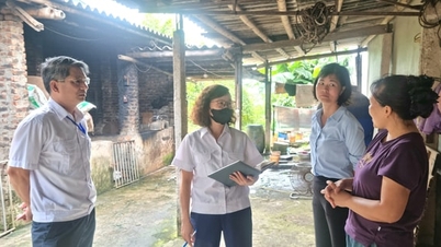 I comuni di Phuong Duc e Phu Xuyen devono esaminare e proporre ubicazioni specifiche per macelli centralizzati temporanei.