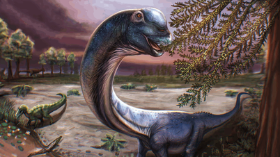 Thailand entdeckt das größte Dinosaurierfossil Südostasiens.