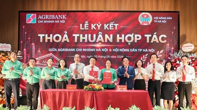 Asociația Fermierilor din Hanoi și Agribank colaborează cu fermierii pentru a promova transformarea digitală și dezvoltarea producției.