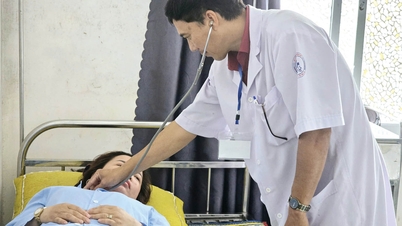Modernisering van de gezondheidszorg in de regio Chan May - Lang Co.