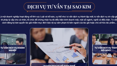 Solusi konsultasi akuntansi dan pajak untuk bisnis dari Sao Kim Law and Accounting.