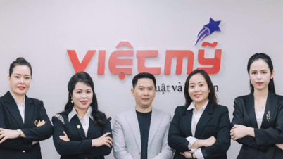 Viet My Law and Accounting menyediakan solusi akuntansi dan hukum komprehensif untuk bisnis.