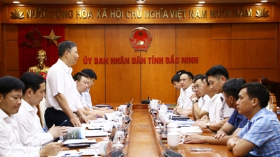 Đề xuất đầu tư 30.000 tỷ đồng xây cao tốc Nội Bài - Bắc Ninh - Chí Linh nối 3 địa phương
