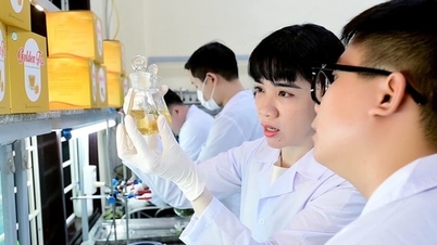 Vietnamská akademie věd a technologií oznámila 112 technologií připravených k transferu.