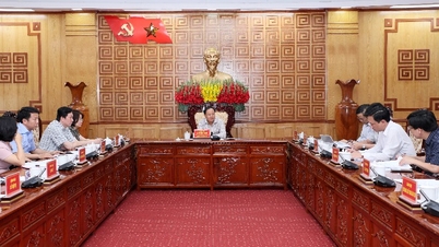 Secretarul provincial al partidului, Le Minh Ngan, a prezidat o întâlnire de pregătire pentru o serie de evenimente de cooperare între provinciile de frontieră din Vietnam și provincia Yunnan (China).