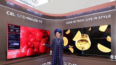 Die Reise geht weiter mit dem TCL C8L SQD-Mini LED-Fernseher: Wenn die Spitze der Technologie auf das Erbe der Hauptstadt trifft.