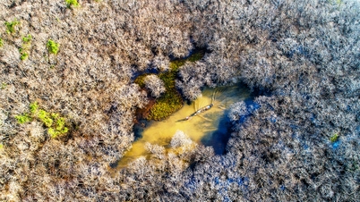 L'étrange Rú Chá pendant la saison de la chute des feuilles.