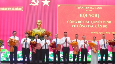 Da Nang anuncia una serie de decisiones relativas al traslado y nombramiento de funcionarios clave.