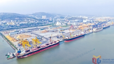 Melhorar a eficiência do desembaraço aduaneiro no porto de Hon Gai.