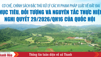 ກົນໄກ ແລະ ນະໂຍບາຍສະເພາະສຳລັບການຈັດການການລະເມີດກົດໝາຍທີ່ດິນ: ຈຸດປະສົງ, ຫົວຂໍ້ ແລະ ຫຼັກການສຳລັບການຈັດຕັ້ງປະຕິບັດມະຕິເລກທີ 29/2026/QH16 ຂອງສະພາແຫ່ງຊາດ.