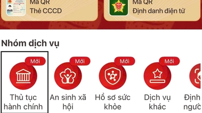 Vatandaşların VNeID üzerinden tamamlayabileceği idari işlemlerin detayları.