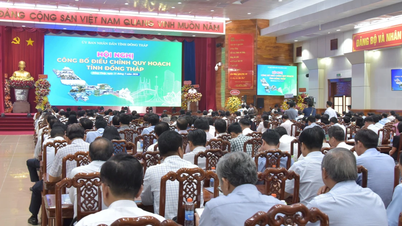 La provincia de Dong Thap planea establecer 5 zonas económicas estratégicas.