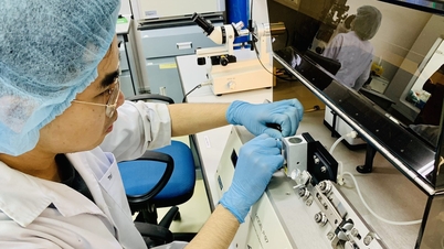 Dix scientifiques originaires des États-Unis, de France, du Japon et d'autres pays ont été sélectionnés pour le programme VNU350.