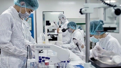 Proposed regulations for managing science and technology tasks and innovation within the purview of the Ministry of Health.