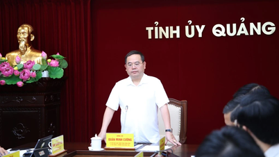 จังหวัดกวางนิงพัฒนาคุณภาพบริการให้คำปรึกษาด้านการเงินและการวางแผนให้ดียิ่งขึ้น