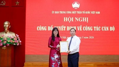สหายไม ฟอง เถา ได้รับการแต่งตั้งให้ดำรงตำแหน่งผู้ช่วยประธานคณะกรรมการกลางแนวร่วมปิตุภูมิเวียดนาม บุย ถิ มินห์ ฮว่าย