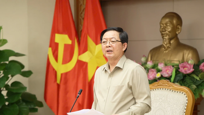 Vicepremier Ho Quoc Dung: Geen willekeurige aanpassingen aan de planning.